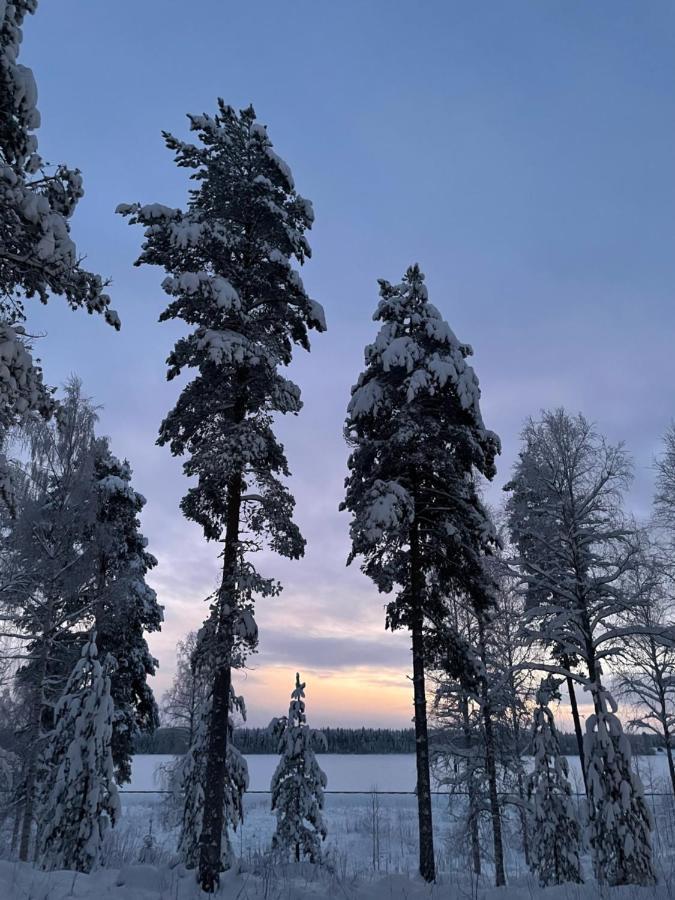 Rieskapaikka Villa Koivu Eksteriør bilde